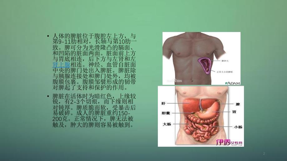 脾切除术后护理干货分享_第2页