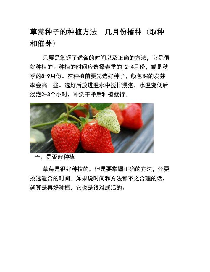 草莓种子的种植方法几月份播种