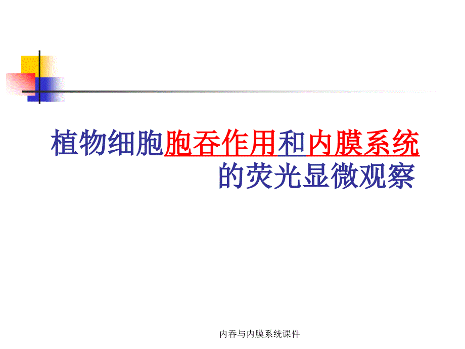 内吞与内膜系统课件_第1页