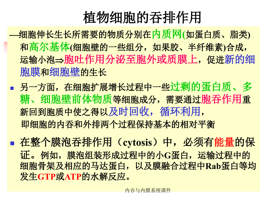 内吞与内膜系统课件_第2页