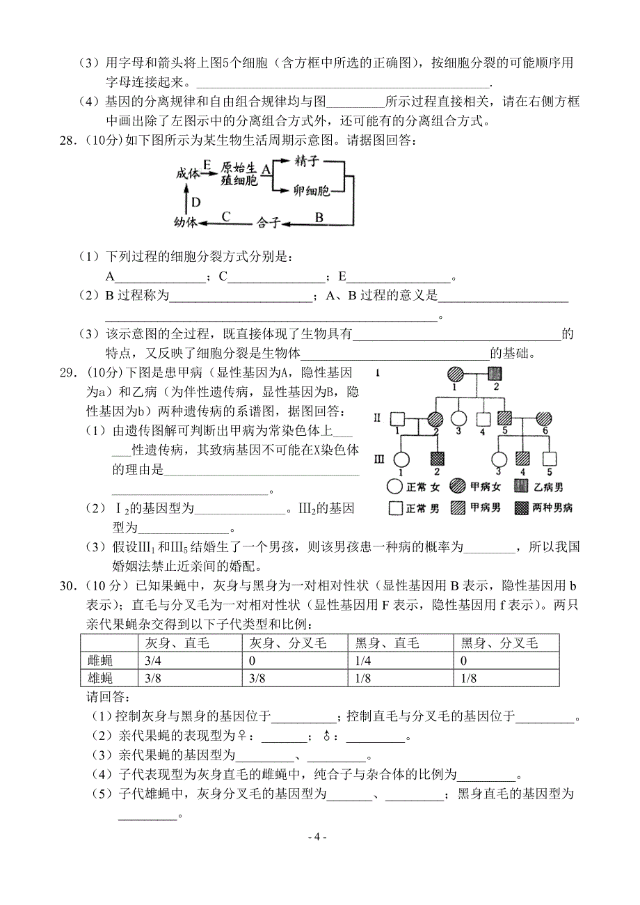 第二章遗传与进化试题(新人教版必修2)_第4页