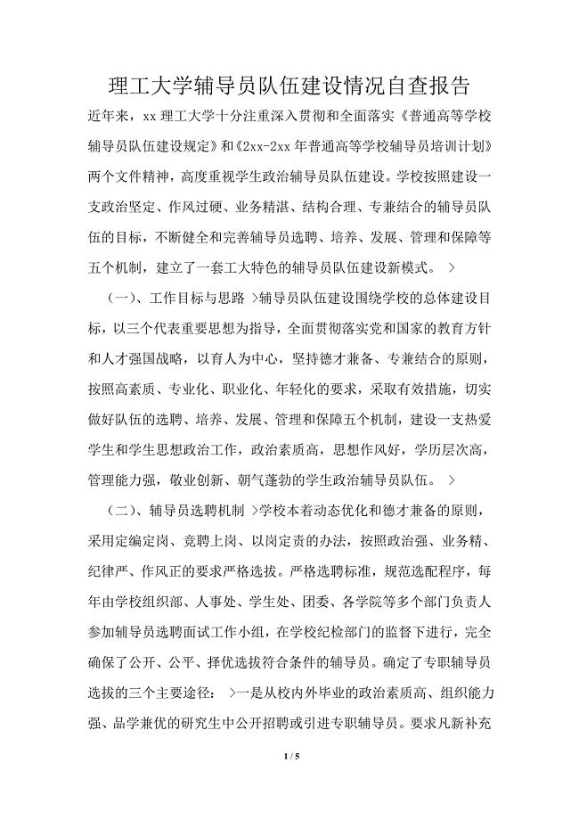 理工大学辅导员队伍建设情况自查报告