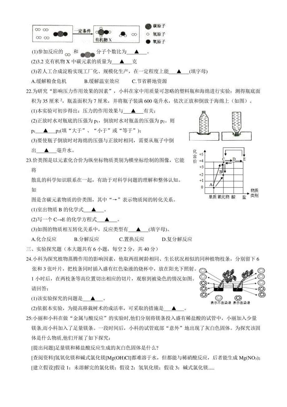 浙江省丽水市2022年中考科学真题卷（含答案与解析）_第5页