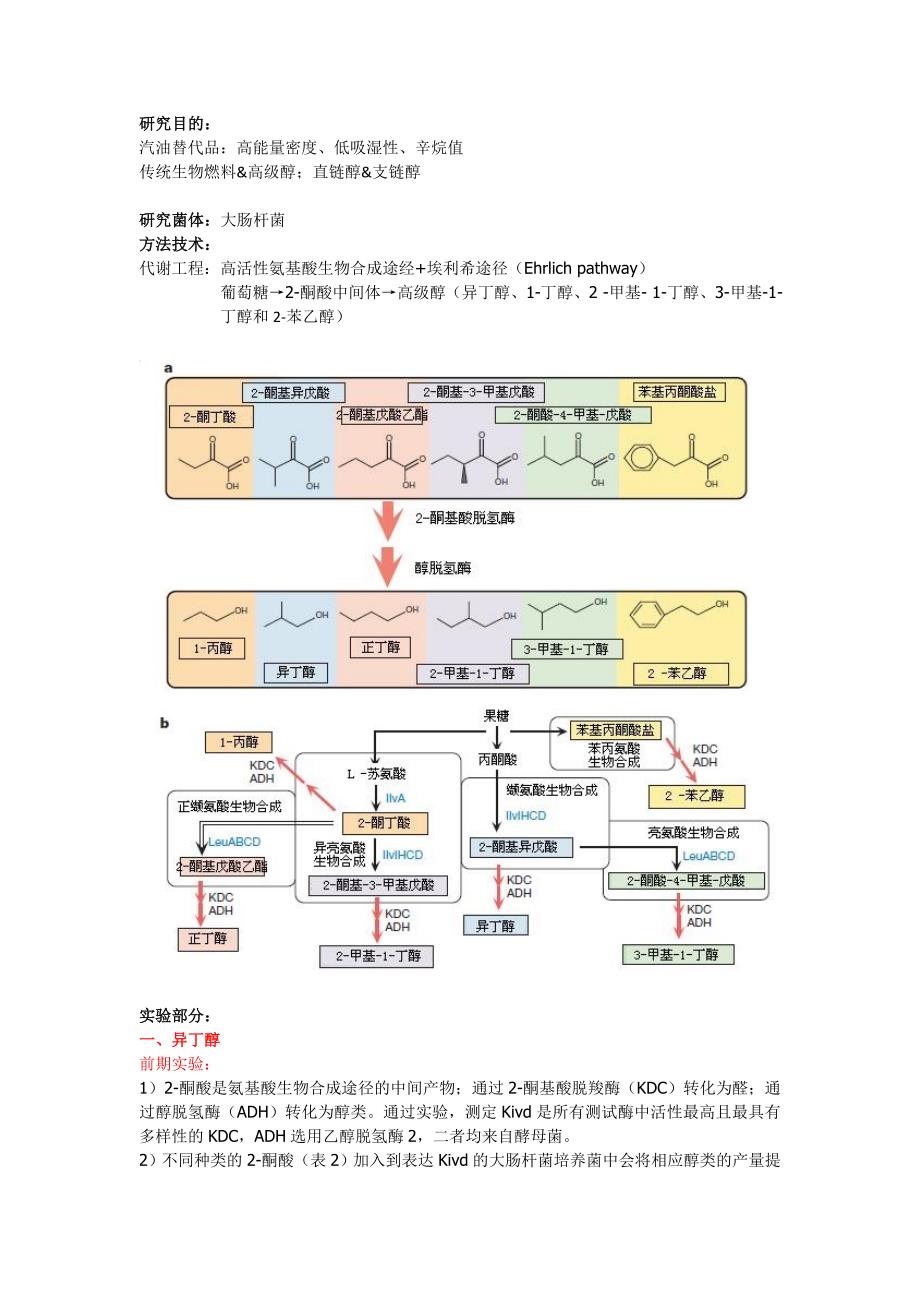 大肠杆菌高活性氨基酸生物合成途经研究.doc_第1页