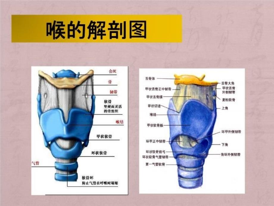 气管切开患者护理查房精品课件_第4页