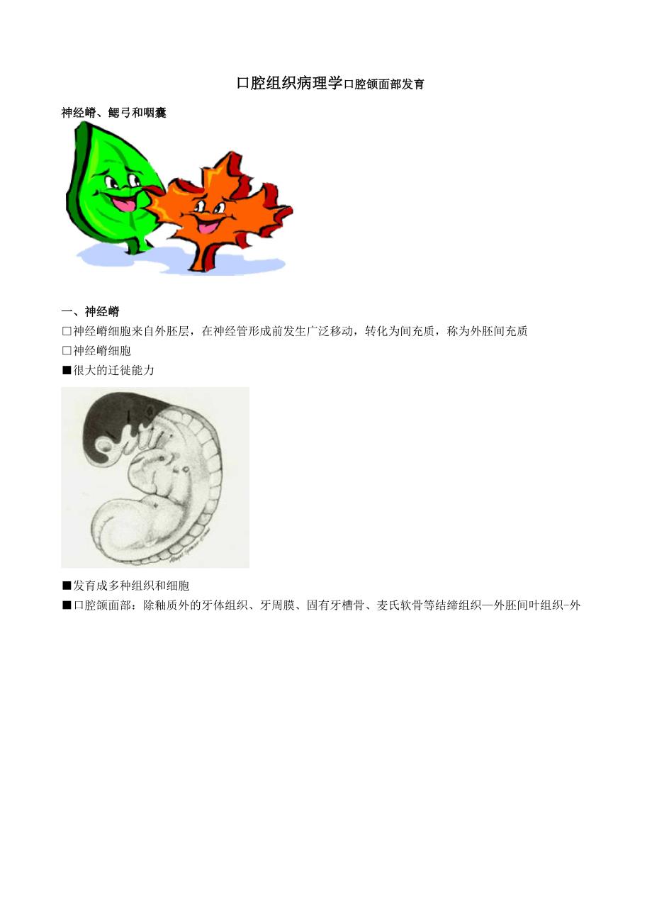 口腔组织病理学口腔颌面部发育_第1页