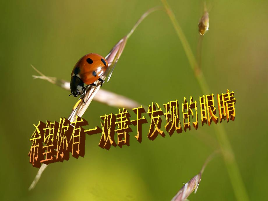 名师课堂初中生物_第3页