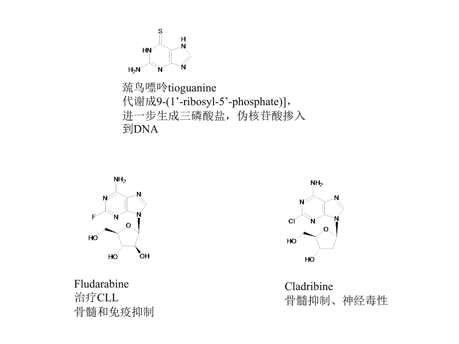 细胞周期抑制剂BioNMRLabUSTC课件_第4页