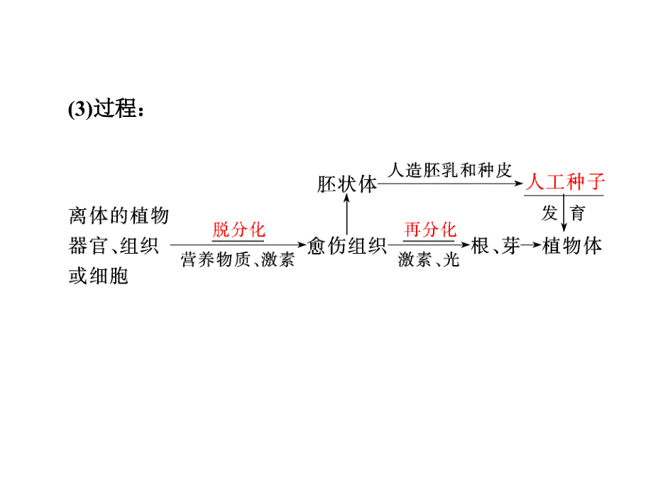 细胞工程的操作水平和目的_第3页