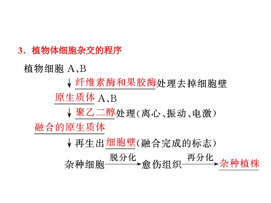 细胞工程的操作水平和目的_第4页