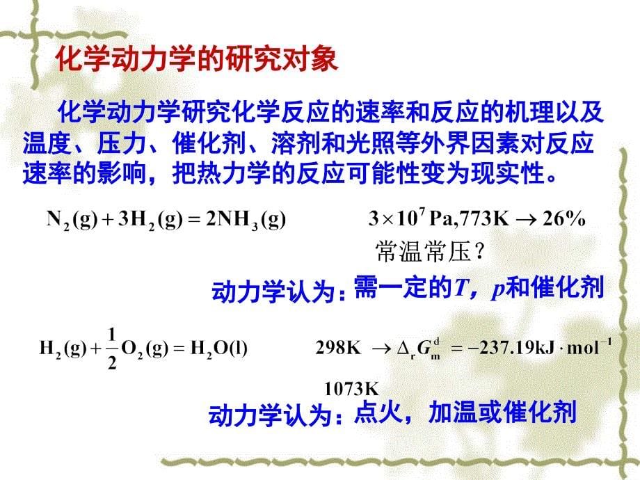 物理化学教学课件：第7章 化学动力学1_第5页