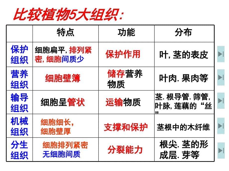 3生物体的结构层次二_第5页