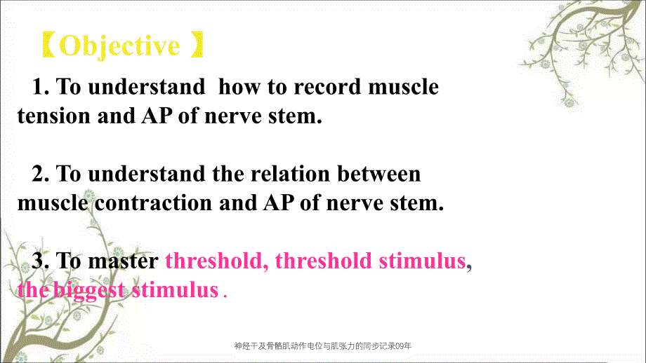 神经干及骨骼肌动作电位与肌张力的同步记录09年课件_第3页