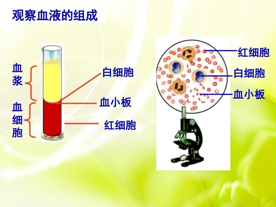 使用胞生活的环境_第5页