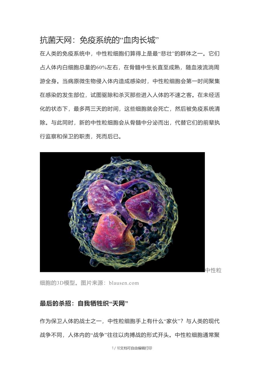 抗菌天网-中性粒细胞_第1页