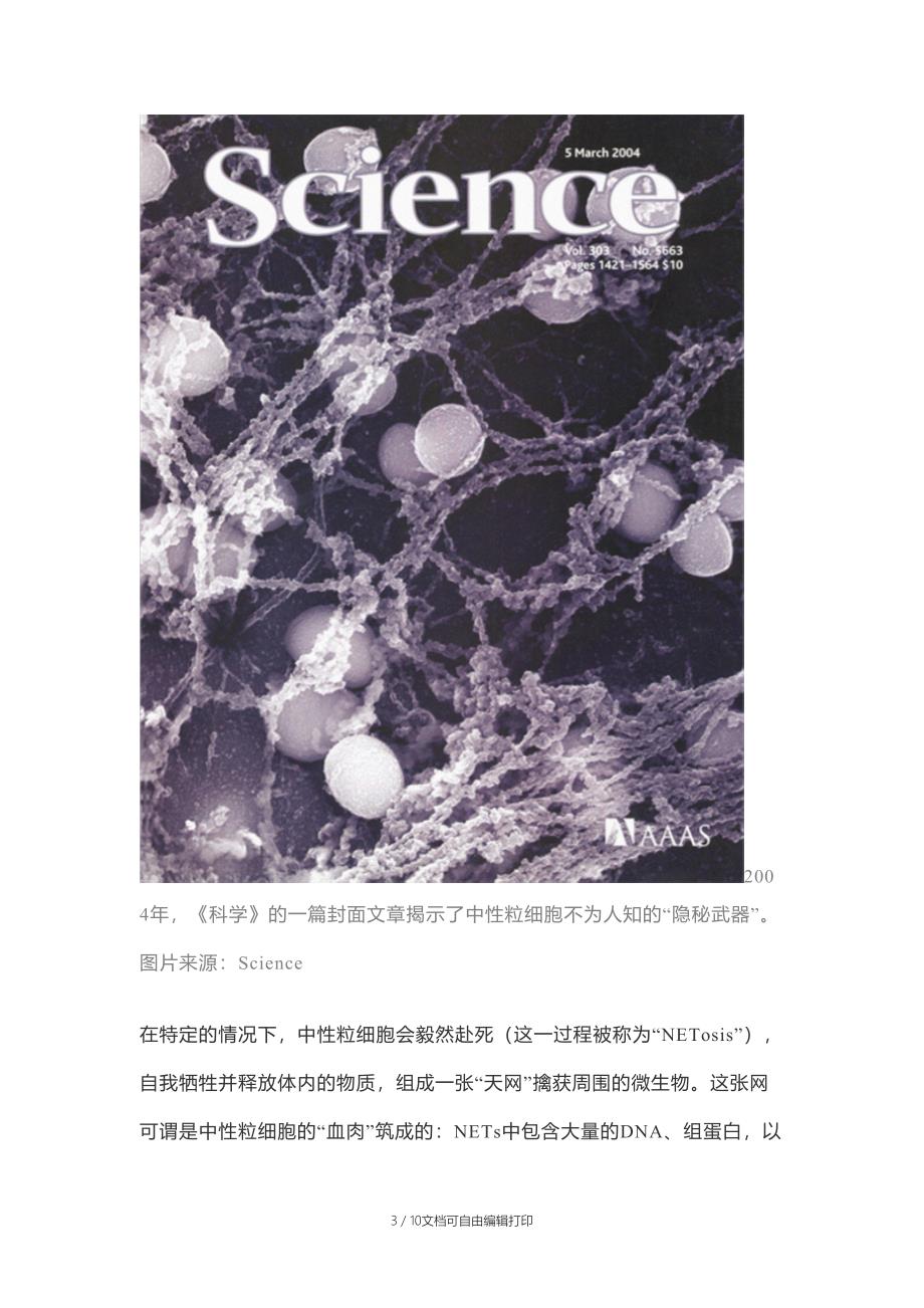 抗菌天网-中性粒细胞_第3页