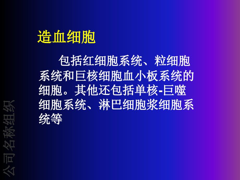 造血系统常见病讲座课件_第2页