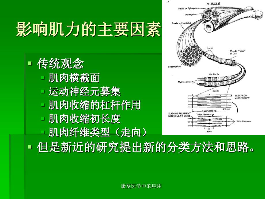 康复医学中的应用课件_第3页