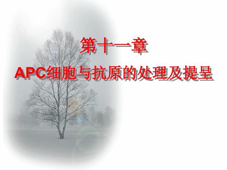 APC与抗原的处理及提呈_第1页