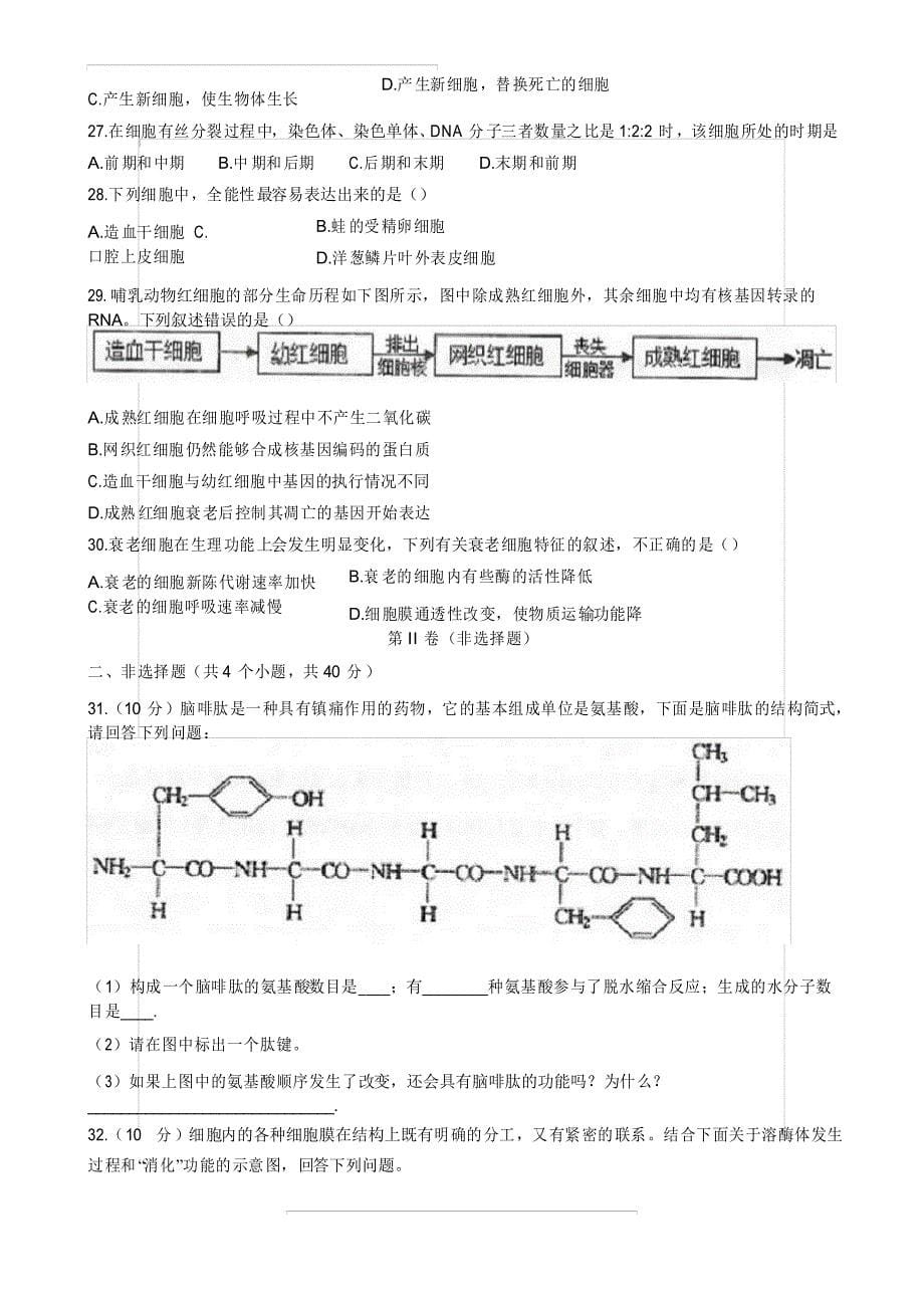 天津市东丽区2020-2021学年度高一第一学期生物期末质量监测试题_第5页