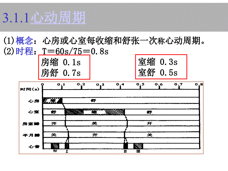 《动物生理学》教学课件：3循环_第3页