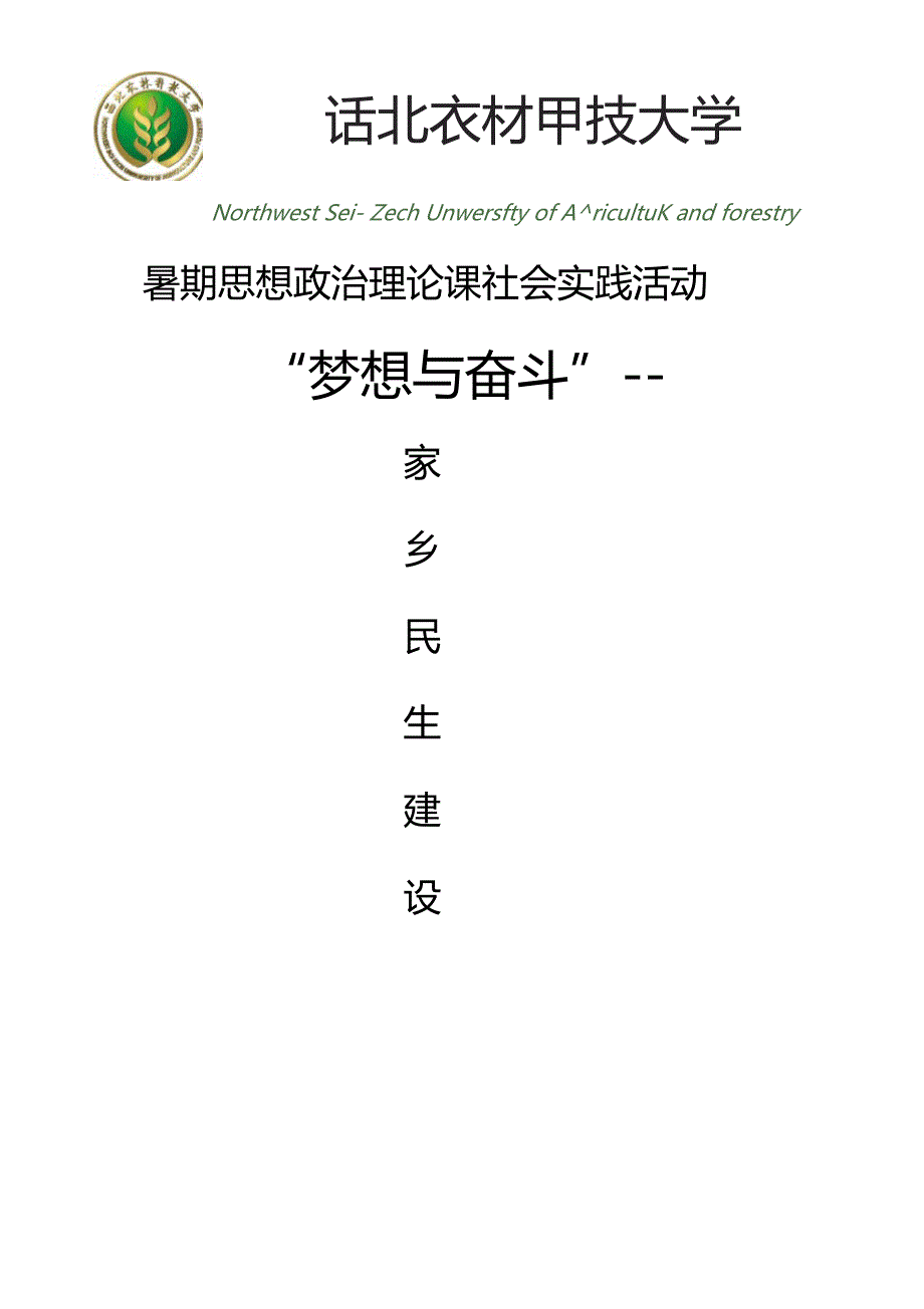 梦想与奋斗家乡民生建设调查_第1页
