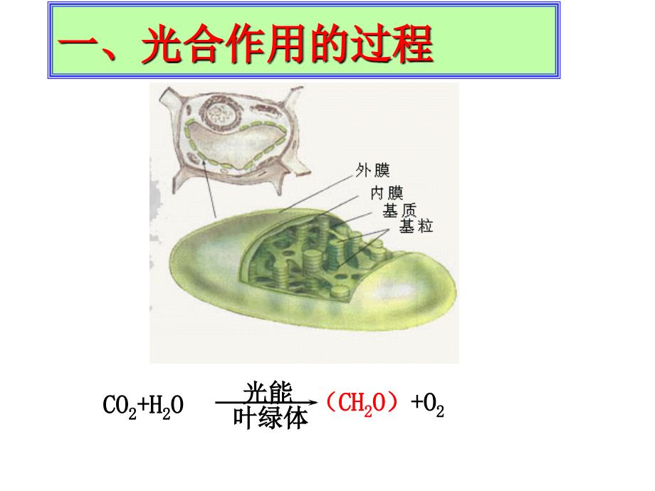 光合作用的过程及应用课件_第3页