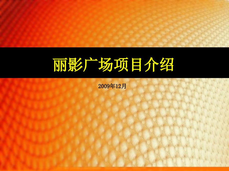 广州丽影购物广场项目介绍_第1页