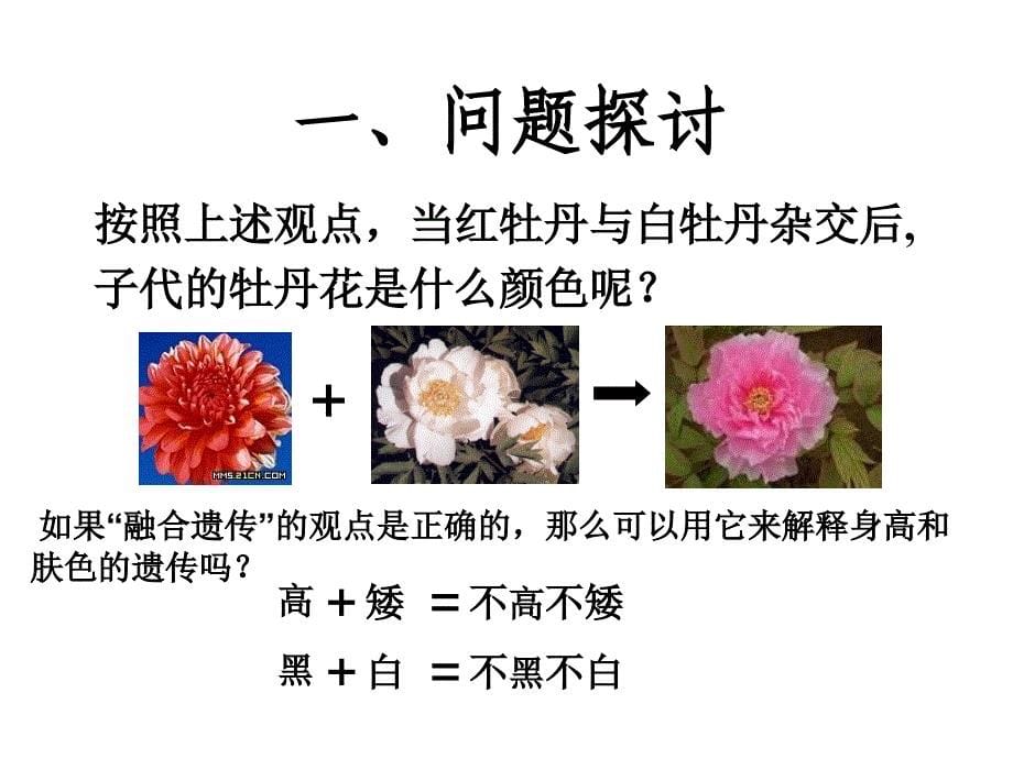 1.1孟德尔的豌豆杂交实验(一)_第5页