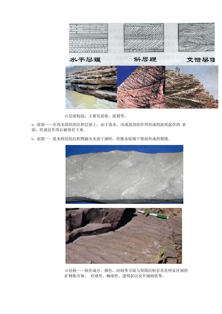工程地质岩芯编录_第2页