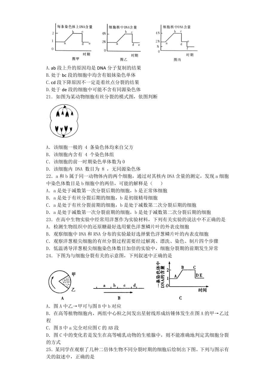 61细胞的增殖_第5页