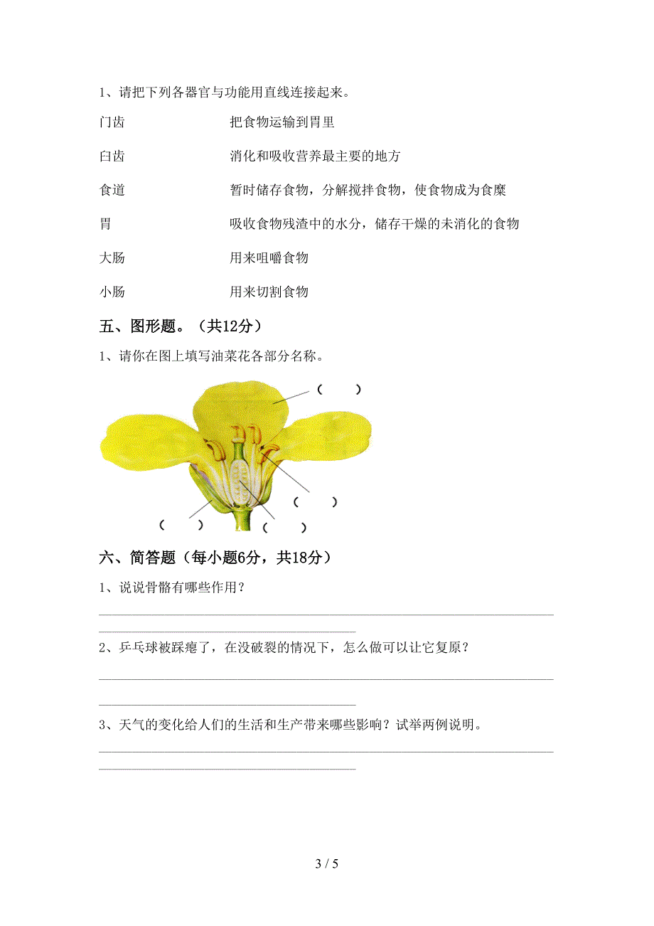 2022年人教版四年级科学上册期末考试(学生专用).doc_第3页