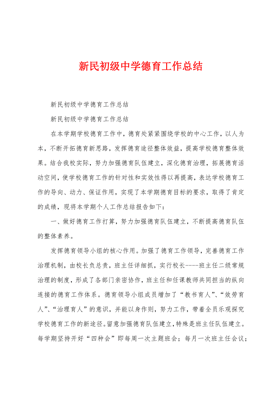 新民初级中学德育工作总结.docx_第1页