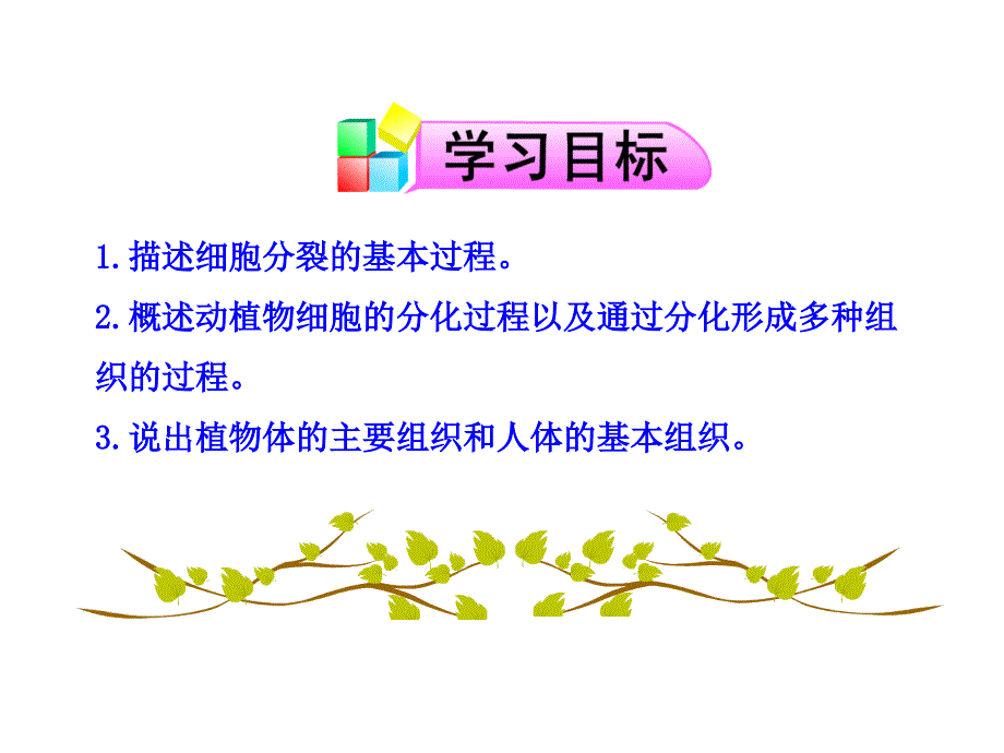 第三节细胞与分化_第3页