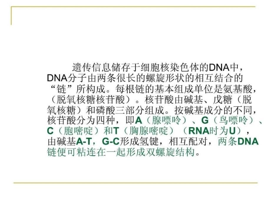 生物技术发展趋势与_第5页