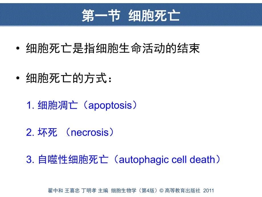 第16章细胞死亡与细胞衰老_第5页