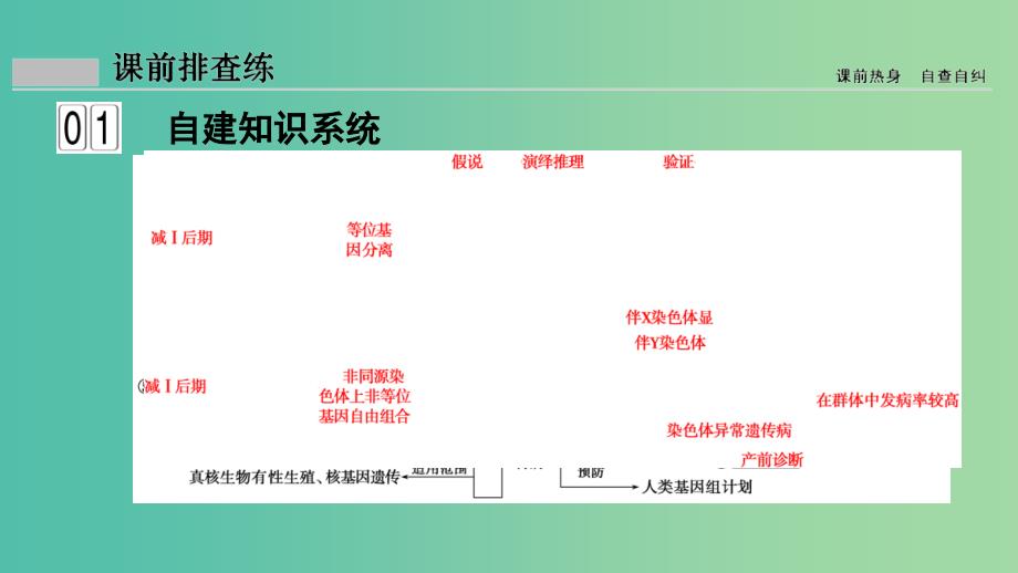 2019届高考生物二轮复习 专题4 遗传、变异和进化 第8讲 遗传的基本规律与伴性遗传课件.ppt_第4页