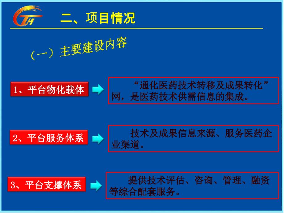 医药平台项目实施方案_第2页