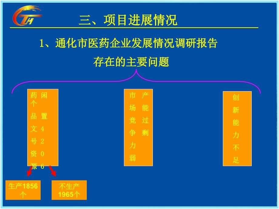 医药平台项目实施方案_第5页