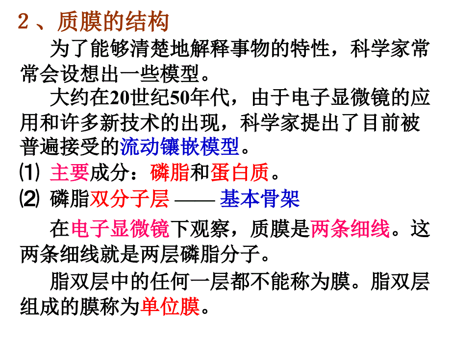 教学课件第二节细胞膜和细胞壁_第4页