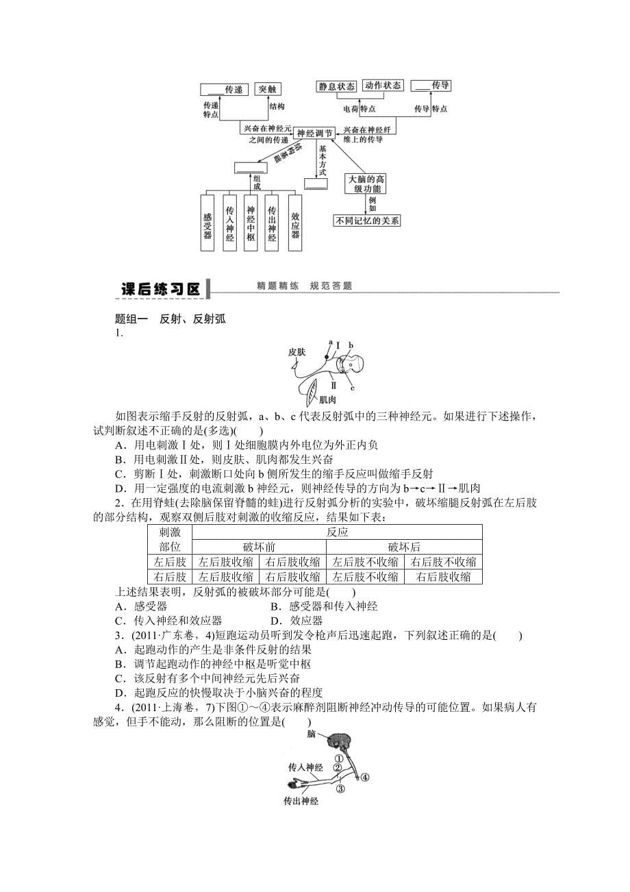 学案34通过神经系统的调节.doc_第5页