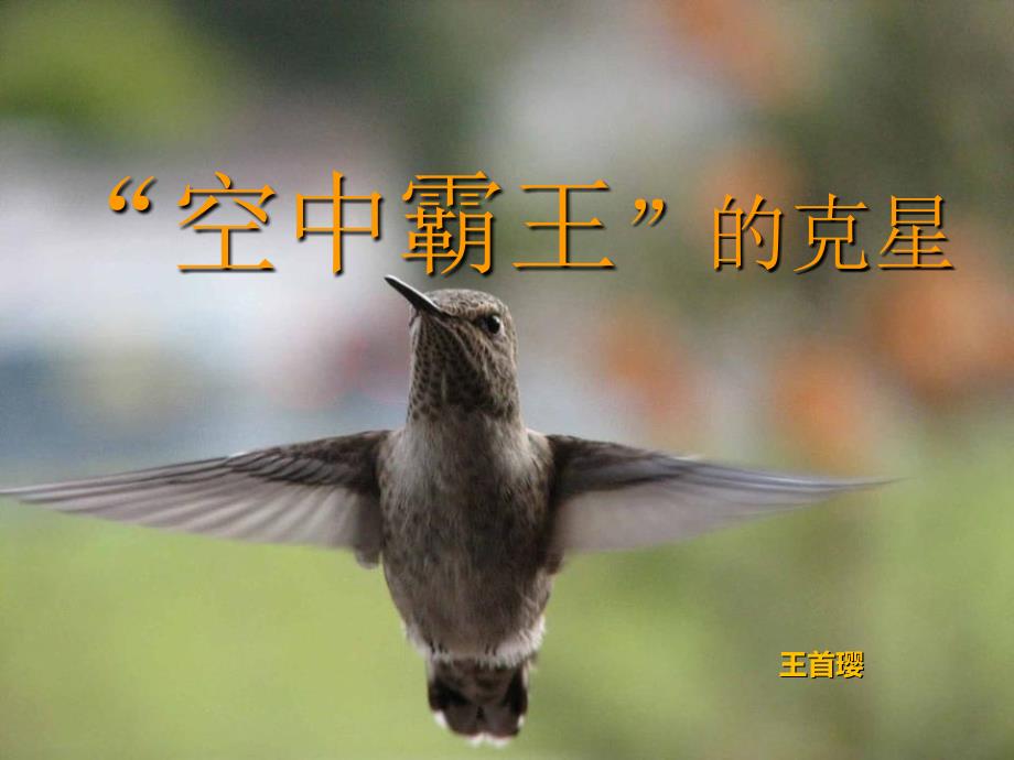 王首璎“空中霸王”的克星_第1页