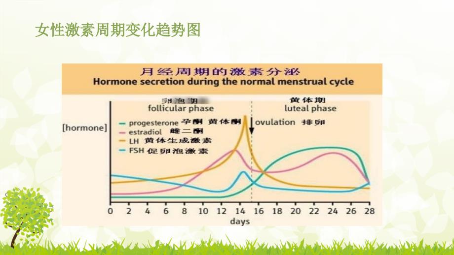 性激素六项的临床应用及实例分析_第2页