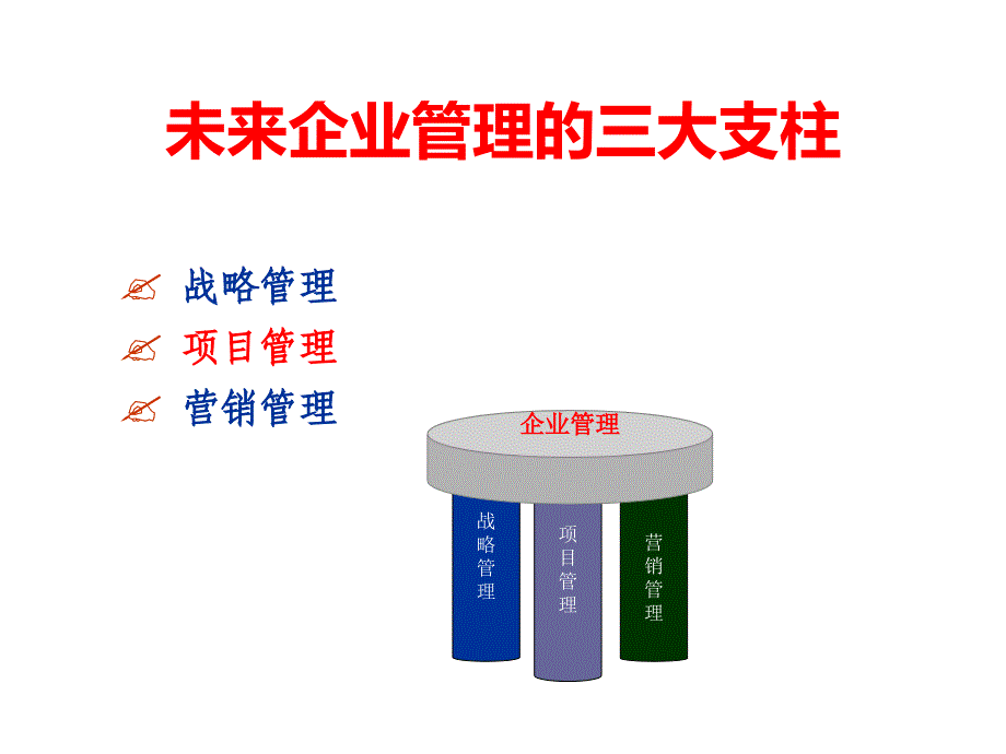 TCL项目管理资料_第3页