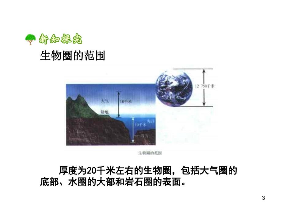 地球上哪些地方有生物课堂PPT_第3页