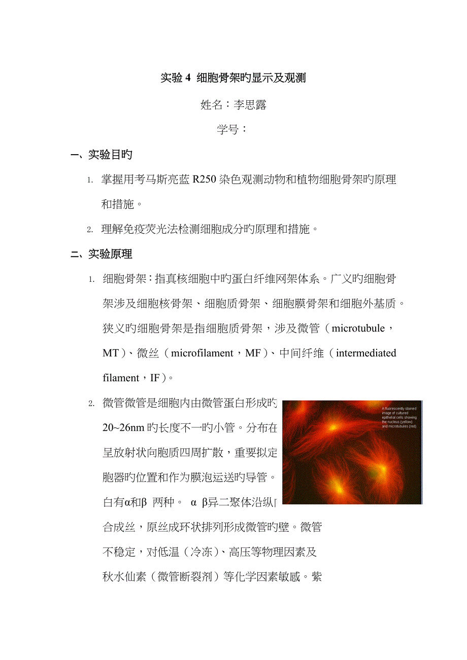 实验4 细胞骨架的显示及观察_第1页