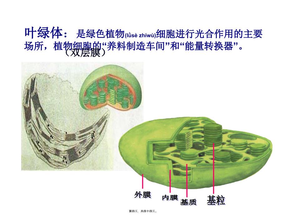 医学专题—细胞器──系统内的分工合作28298_第4页