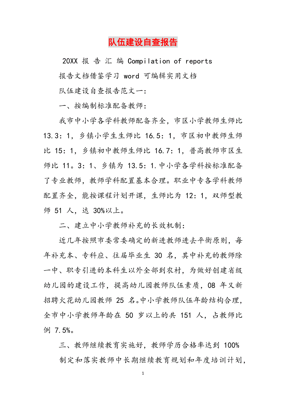 2023年队伍建设自查报告.docx_第1页