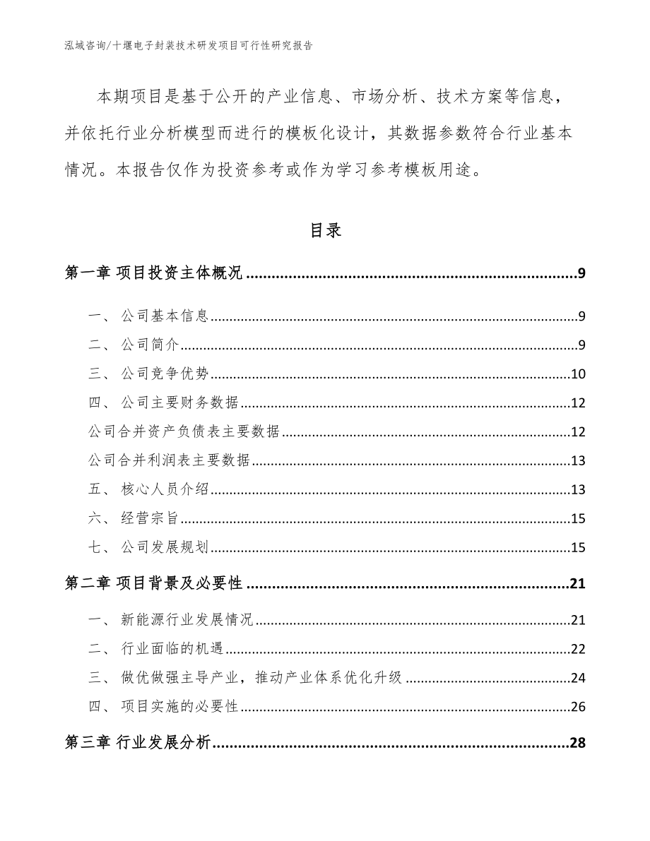 十堰电子封装技术研发项目可行性研究报告_模板范文_第3页