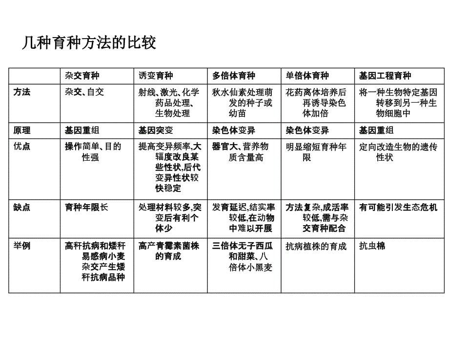 6.1杂交育种与诱变育种课件杨明明_第5页